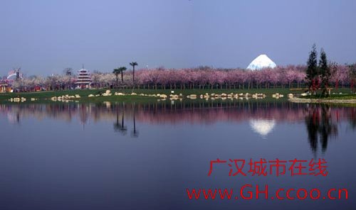 <em>青白江</em>举办首届国际<em>樱花节</em>,广汉热点,广汉城市