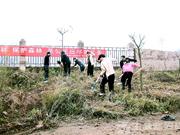 陆川掀起全民植树造林活动热潮