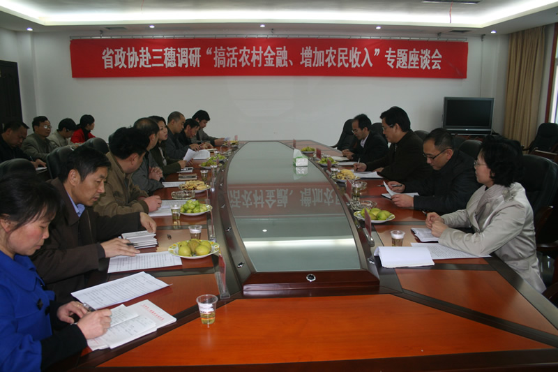 收入证明_农民经济收入调查(3)