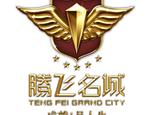 腾飞名城