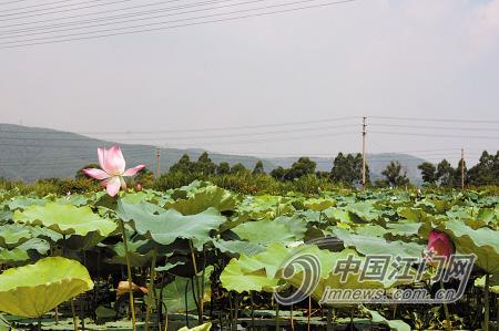 201081410403046.jpg