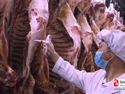 我国颁发首个有机肉牛及有机牛肉产品认证
