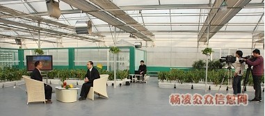 杨凌职业技术学院_杨凌人均收入(2)