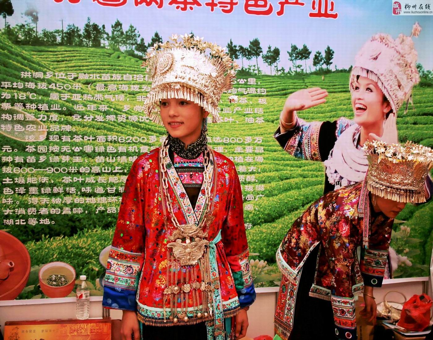 柳版“神仙妹妹”现身融安斗马节,柳州热点,柳州在线