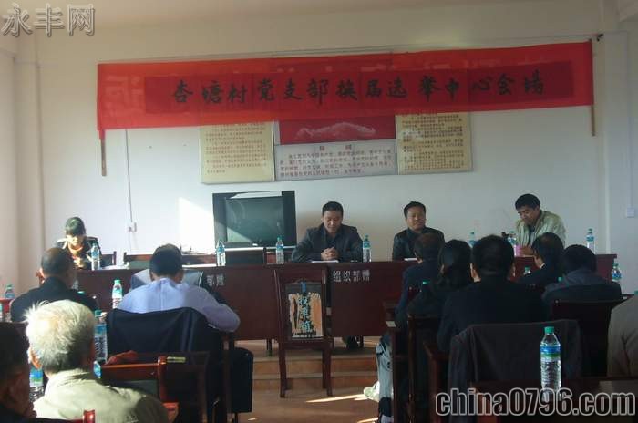 藤田镇杏塘村党支部换届选举,永丰热点,永丰网