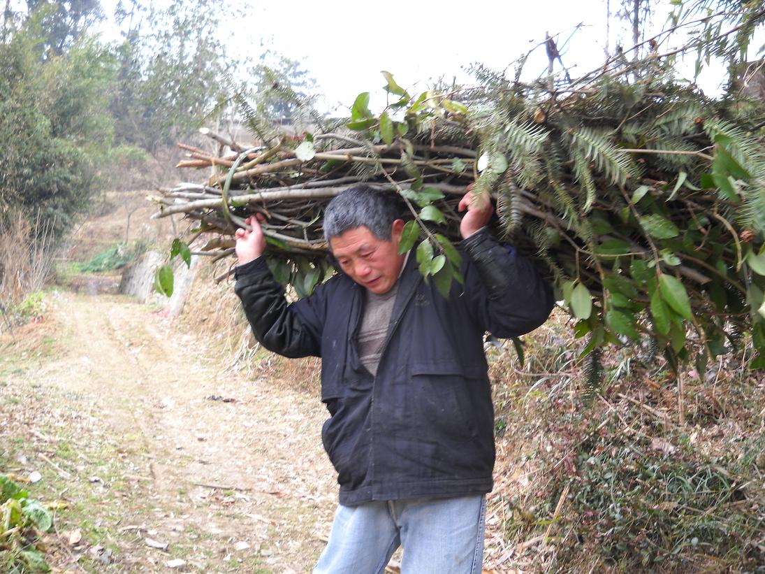 日子好艰难,面对物价飞涨,没有办法,大多数自己种菜,自己上山打柴烧火