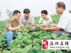 �������˹���ũ���ɲ����Ϊũ�񽲽�������溦����֪ʶ