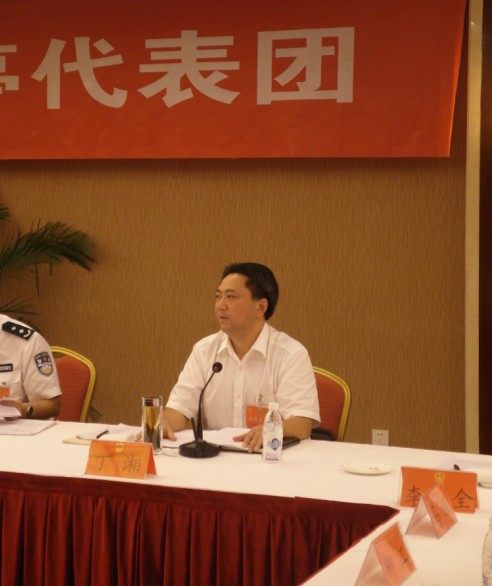 市人大代表、盐亭县委书记丁湘在讨论政府工作