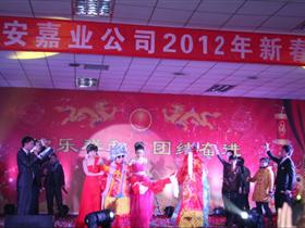 快乐新春 美好嘉业