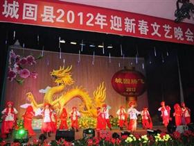 �ǹ���2012ӭ�´��������ἤ������