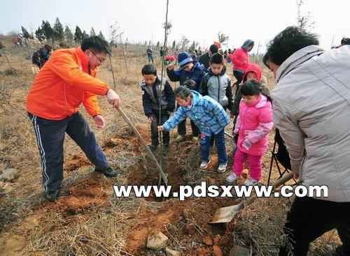 昨天上午,一些市民在山顶公园植树.本报讯昨天,平顶山山顶高清图片