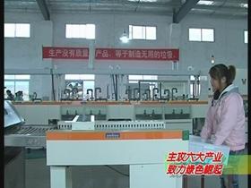 转型升级 园区绿色光电产业抢占高