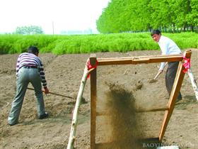 仲生驻点调研夏集镇双琚村