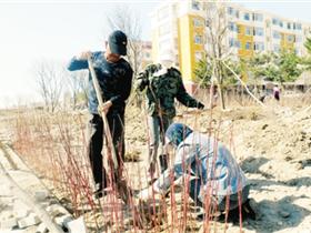 奈曼旗建设生态城镇