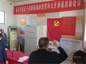 邹城市钢山街道杨下村党支部开展“廉政勤政宣誓和公开承诺”活动