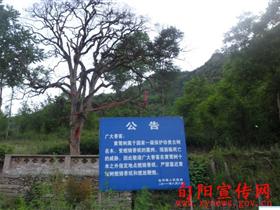 �ɺ����������������֦���ֹ�������