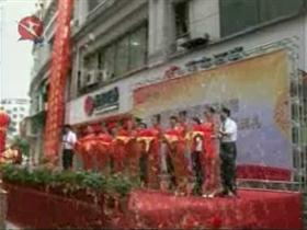 浙商证券青田营业部开业 我县金融界再注“新血液”