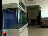 �촨����Ƶ����