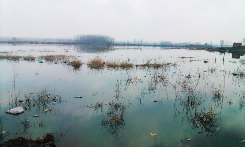 二中东边触目惊心的污水_安新时事_安新论坛