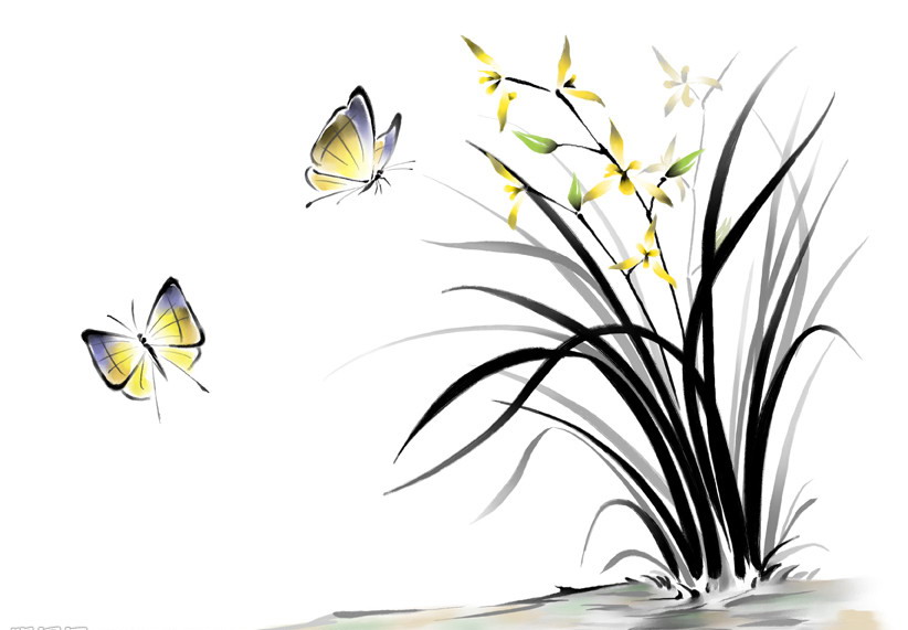 清新淡然,<em>幽雅</em>高贵