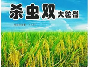 大粒剂