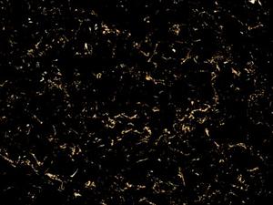 ����ѷ-fp60199
