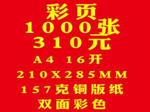 彩页1000张310元A4 16开157克铜