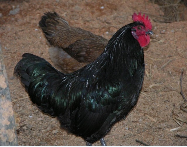 【沂水生活服务信息|家政保洁|搬家|电脑维修|家