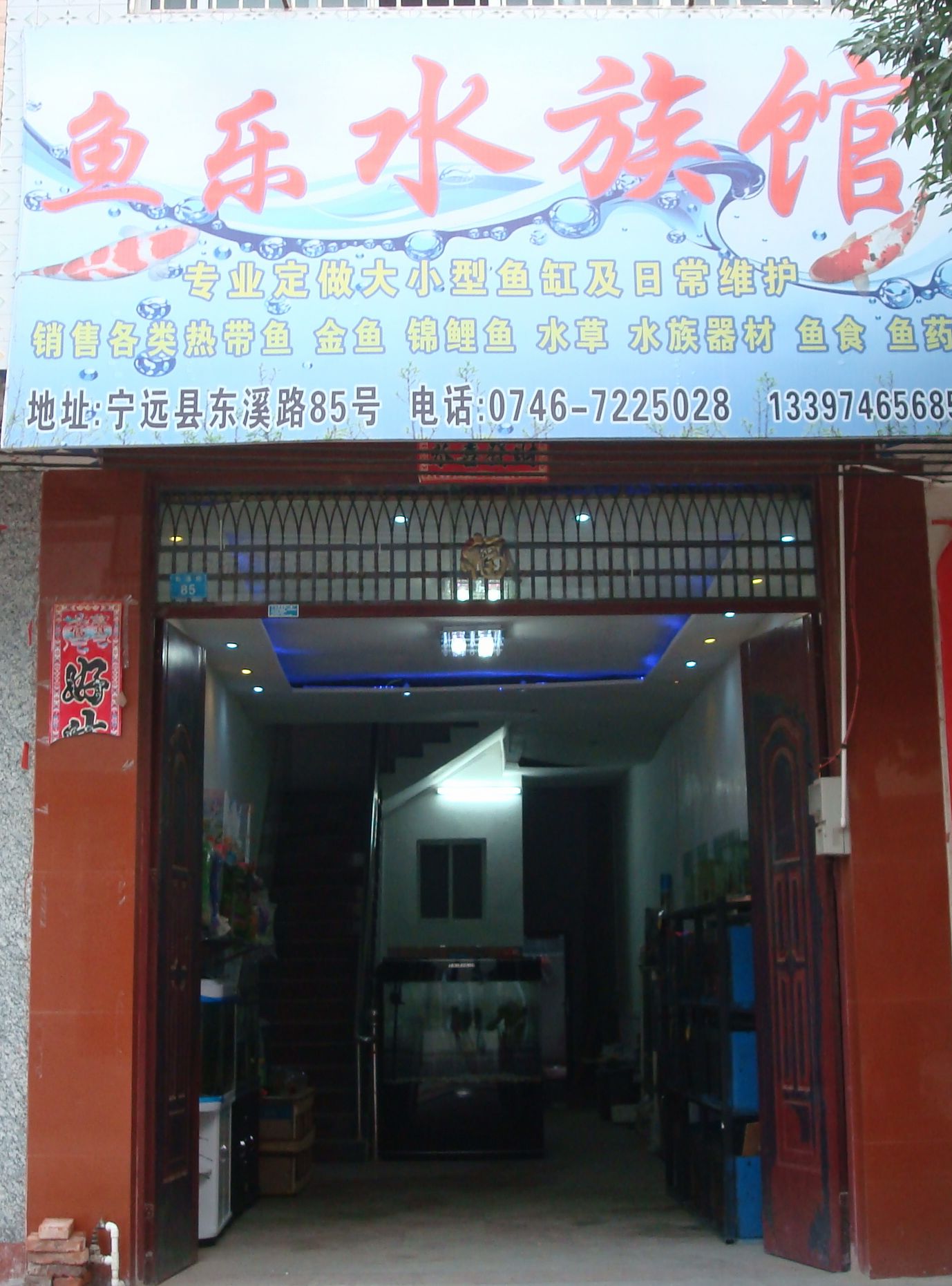 鱼乐水族馆
