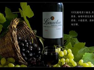 法国AOC级罗蒂克城堡经典佳酿干红葡萄酒