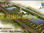东湖国际
