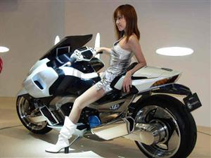�ְ���ľ������Ħ��ר��