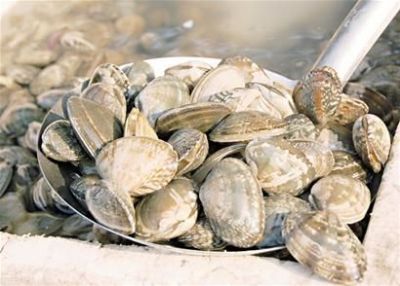 【沂水生活服务信息|家政保洁|搬家|电脑维修|家