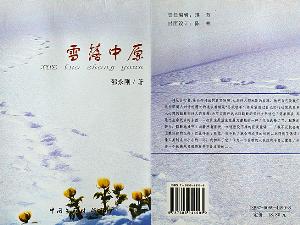 《雪落中原》 邵永刚 著