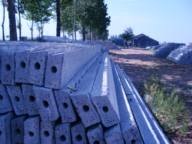 20120403084532465.jpg