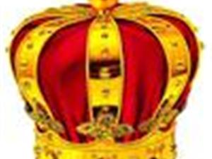 T.O.Pʱ����ó�ٻ�