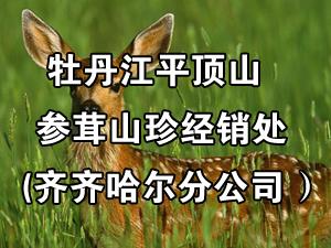 ĵ����ƽ��ɽ����ɽ�侭���������зֹ�˾)