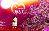 ��6Ԫ��������ǰ�������˽ڵ����ۼ�12Ԫ/ֻ�ĺ�õ�壡������������õ�廨���Ź���Ʒ����÷���Ʒ�ṩ����ַ�����Ĺ㳡����(����ί����)