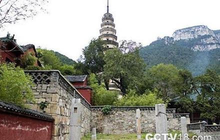 济南灵岩寺一日游 千年古刹,佛教圣地,见证历史变迁,感受佛家文化丰厚底蕴快来开启你千年古刹的心灵之旅吧!