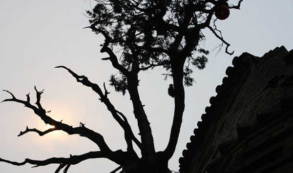 比什么什么枝成语_成语故事简笔画(3)