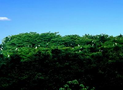 象山森林公园风景区