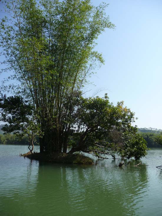 湖心岛旅游景区