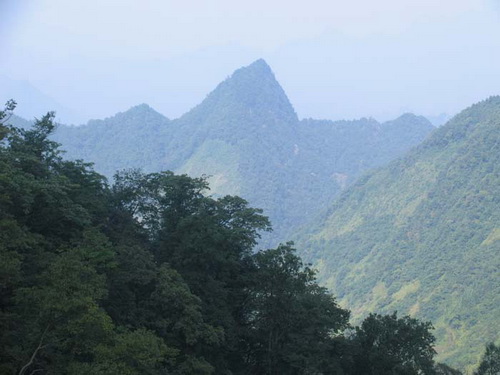 园区属喀斯特地貌区,包括低山,中山山地和山间盆地,空山坝为公园内最
