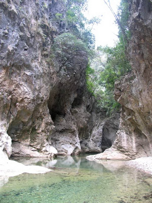 园区属喀斯特地貌区,包括低山,中山山地和山间盆地,空山坝为公园内最