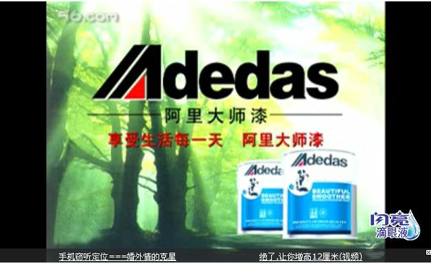 阿里大师漆媒体广告
