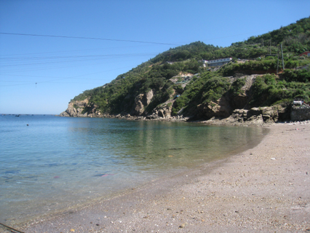长海县海参建平总经销_建平黄页