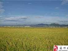 遂川网