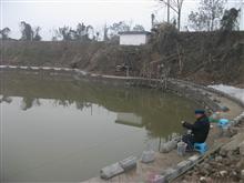 绵竹马鞍泉生态泉水钓鱼场