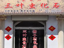 博兴爱石人三叶虫化石礼品开发公司