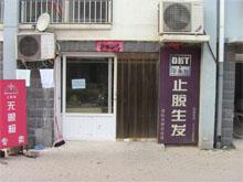 泊头平衡肽止脱生发国际连锁泊头店